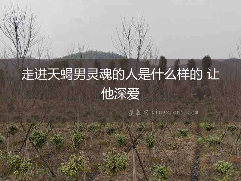 走進天蝎男靈魂的人是什么樣的 讓他深愛