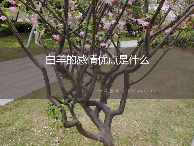 白羊的感情優(yōu)點(diǎn)是什么