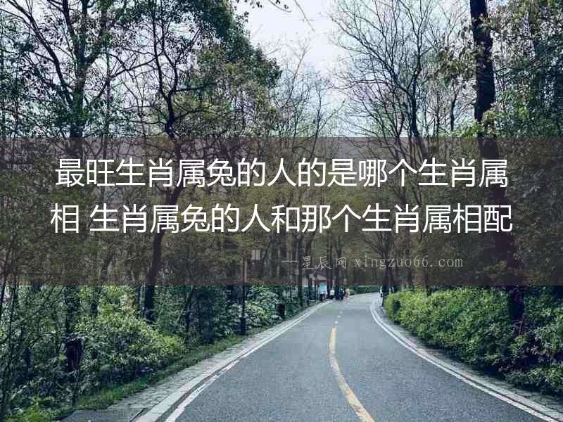 最旺生肖屬兔的人的是哪個生肖屬相 生肖屬兔的人和那個生肖屬相配對好