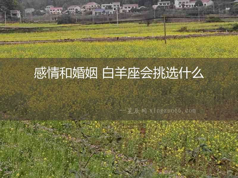 感情和婚姻 白羊座會挑選什么