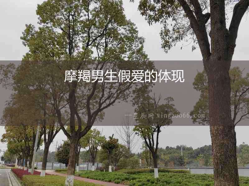 摩羯男生假愛的體現