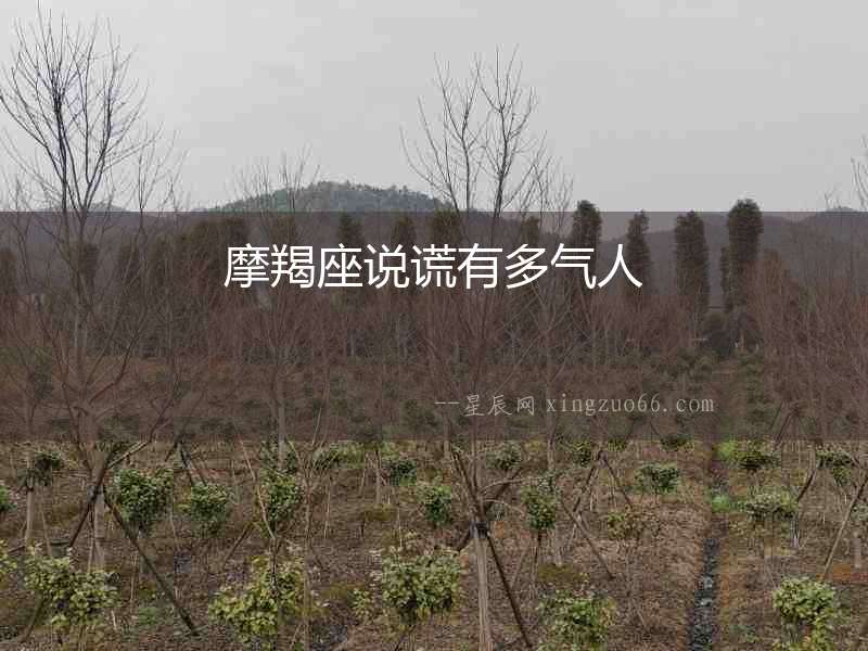 摩羯座說謊有多氣人