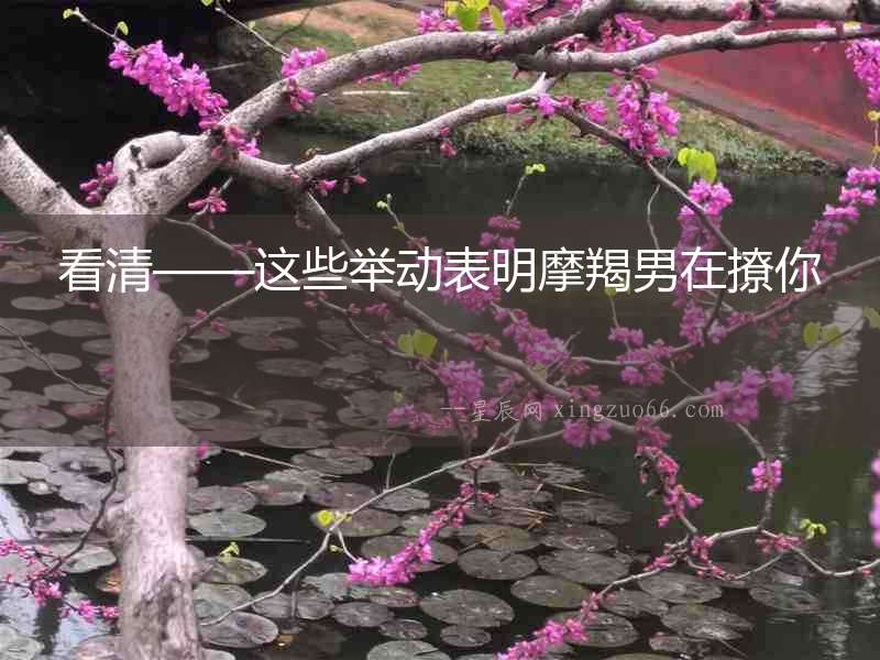 看清——這些舉動(dòng)表明摩羯男在撩你
