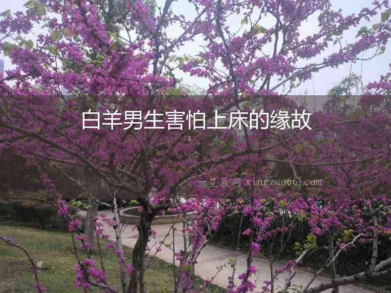 白羊男生害怕上床的緣故
