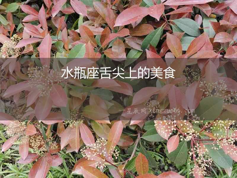 水瓶座舌尖上的美食