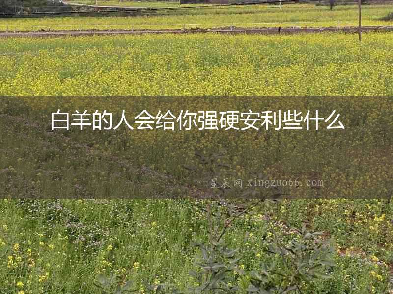 白羊的人會給你強硬安利些什么