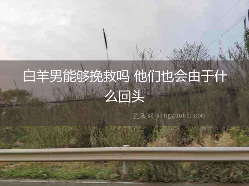 白羊男能夠挽救嗎 他們也會(huì)由于什么回頭