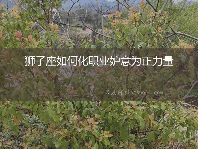 獅子座如何化職業妒意為正力量