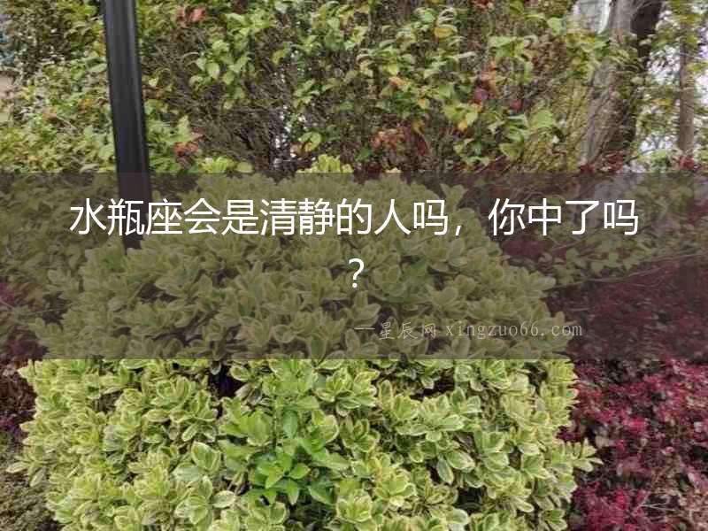 水瓶座會是清靜的人嗎，你中了嗎？