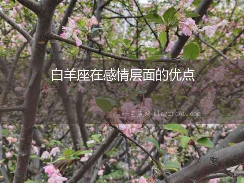 白羊座在感情層面的優(yōu)點(diǎn)