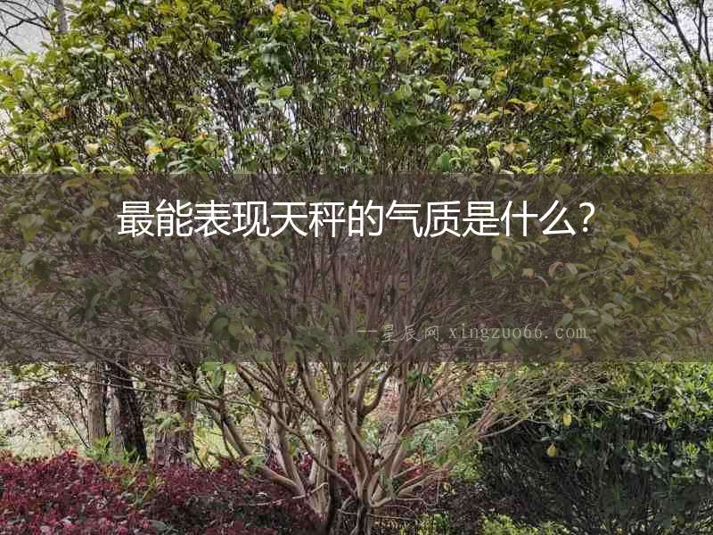 最能表現天秤的氣質是什么？