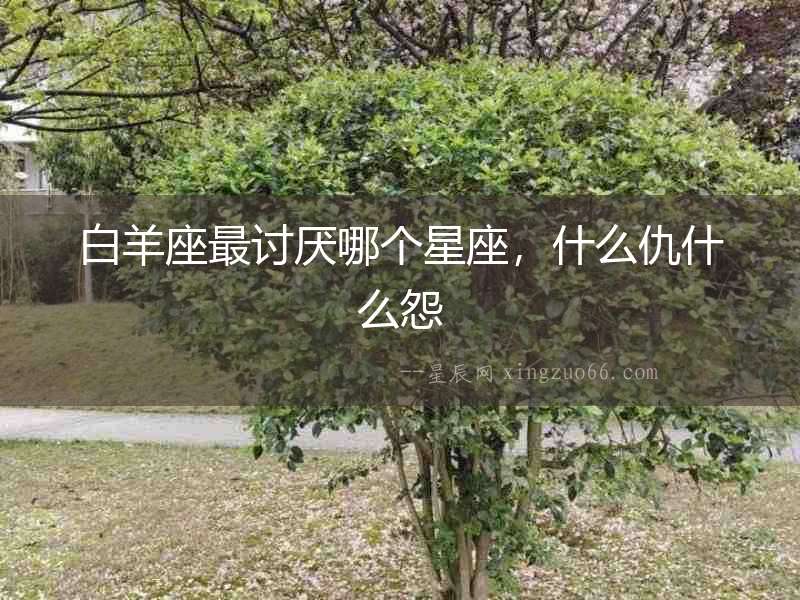 白羊座最討厭哪個(gè)星座，什么仇什么怨
