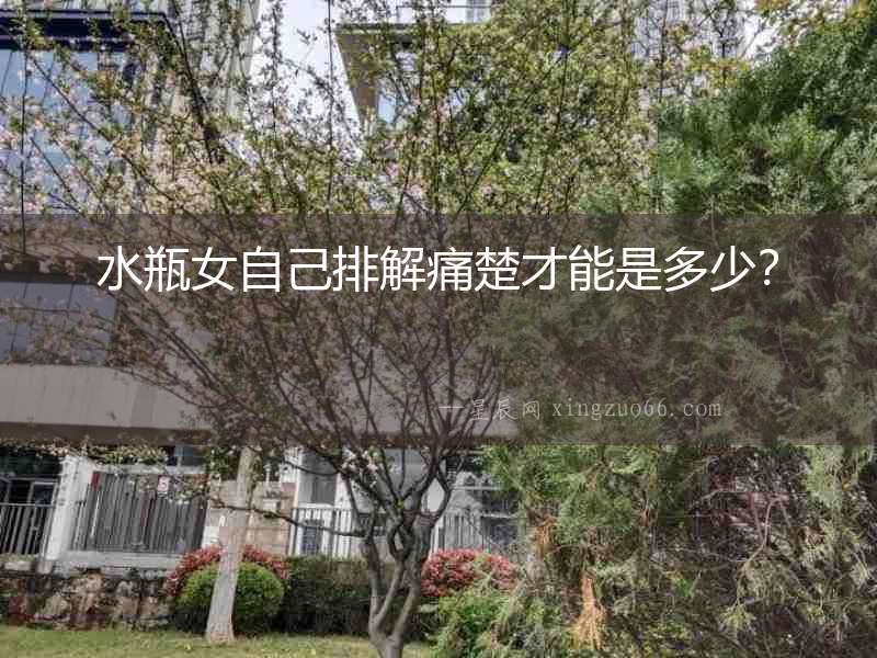 水瓶女自己排解痛楚才能是多少？