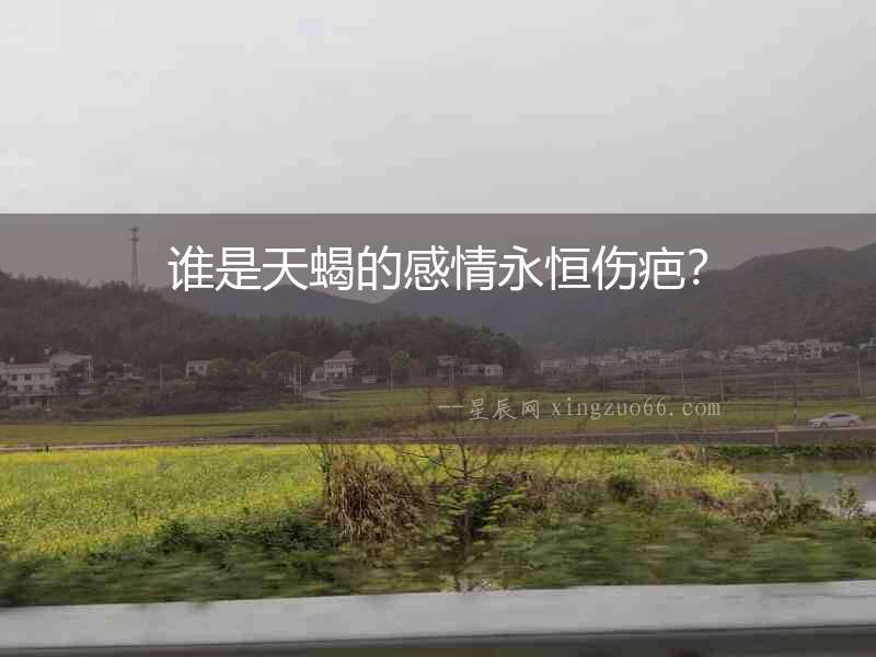 誰是天蝎的感情永恒傷疤？