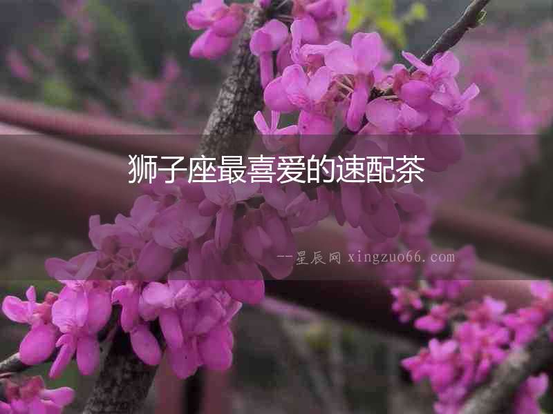 獅子座最喜愛的速配茶