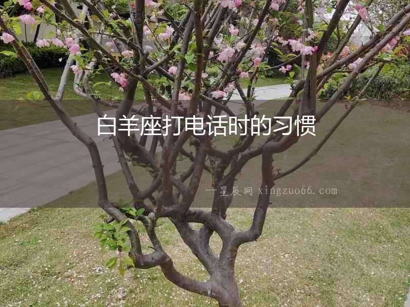 白羊座打電話時的習慣