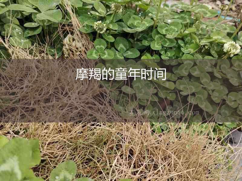 摩羯的童年時間
