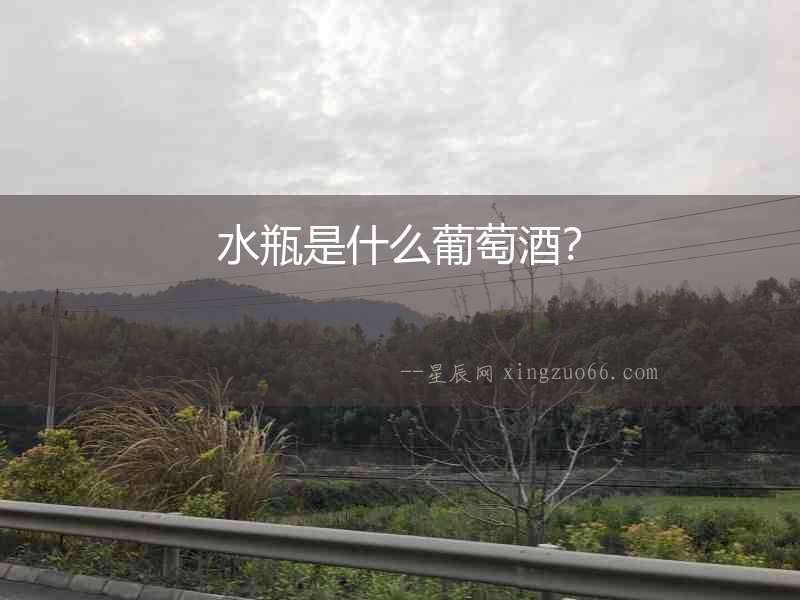 水瓶是什么葡萄酒？