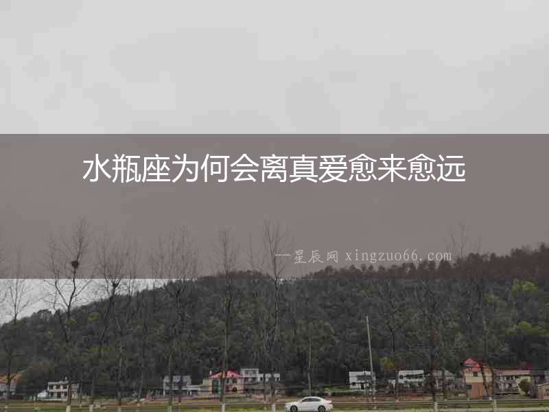水瓶座為何會離真愛愈來愈遠