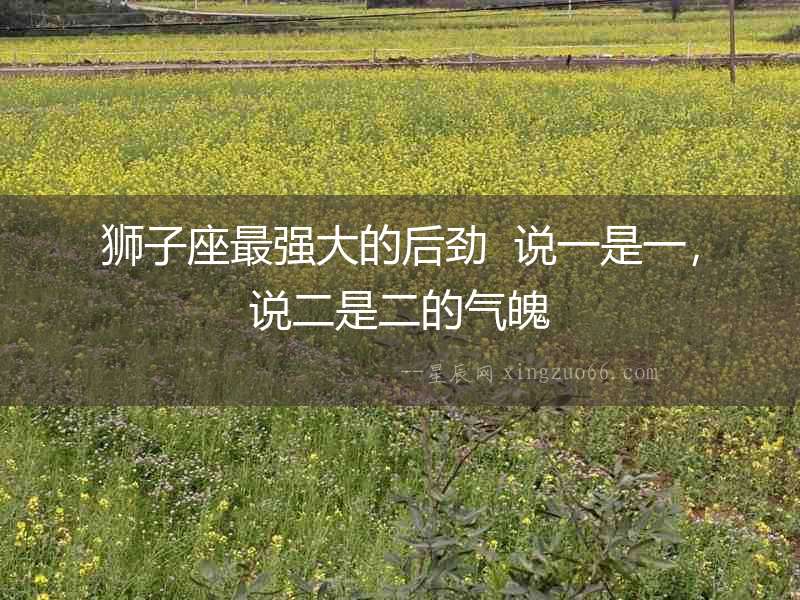 獅子座最強大的后勁  說一是一，說二是二的氣魄