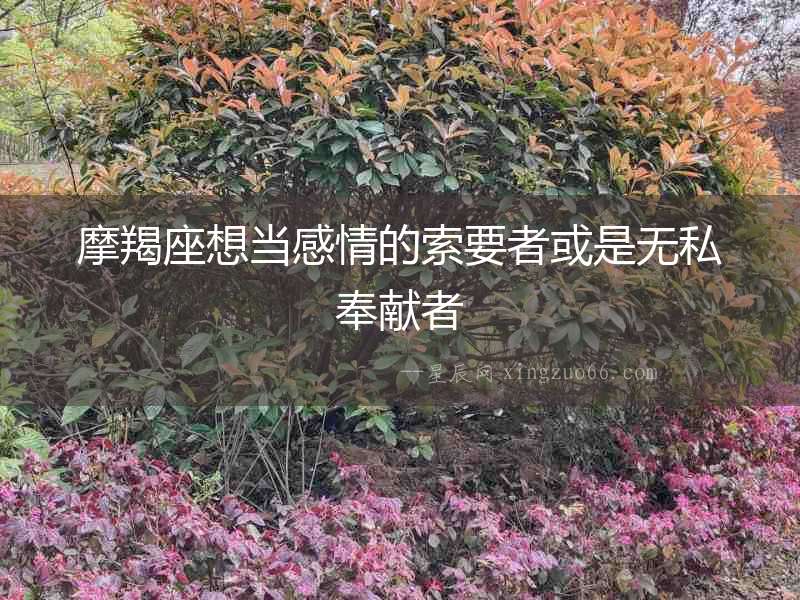 摩羯座想當感情的索要者或是無私奉獻者