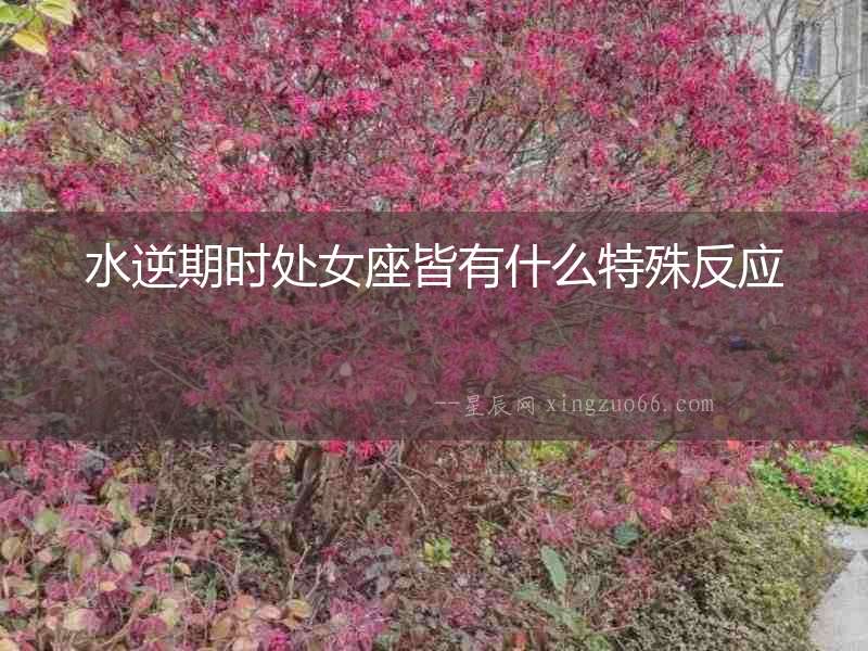 水逆期時處女座皆有什么特殊反應
