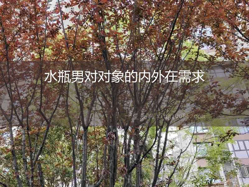 水瓶男對對象的內(nèi)外在需求