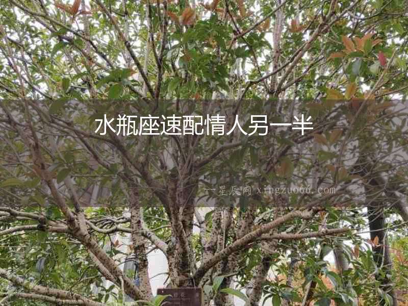 水瓶座速配情人另一半