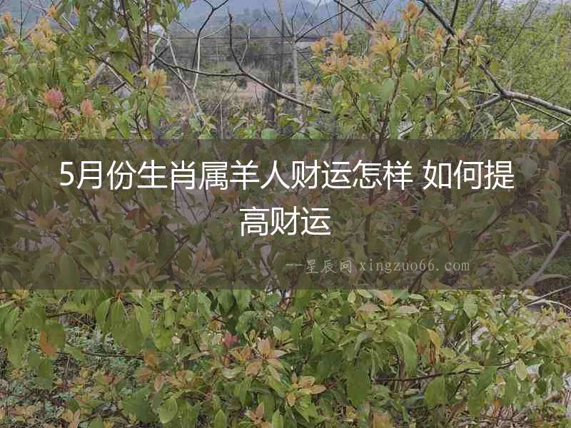 5月份生肖屬羊人財運怎樣 如何提高財運