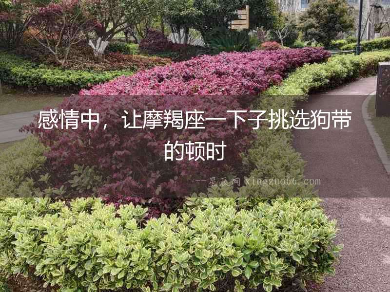 感情中，讓摩羯座一下子挑選狗帶的頓時