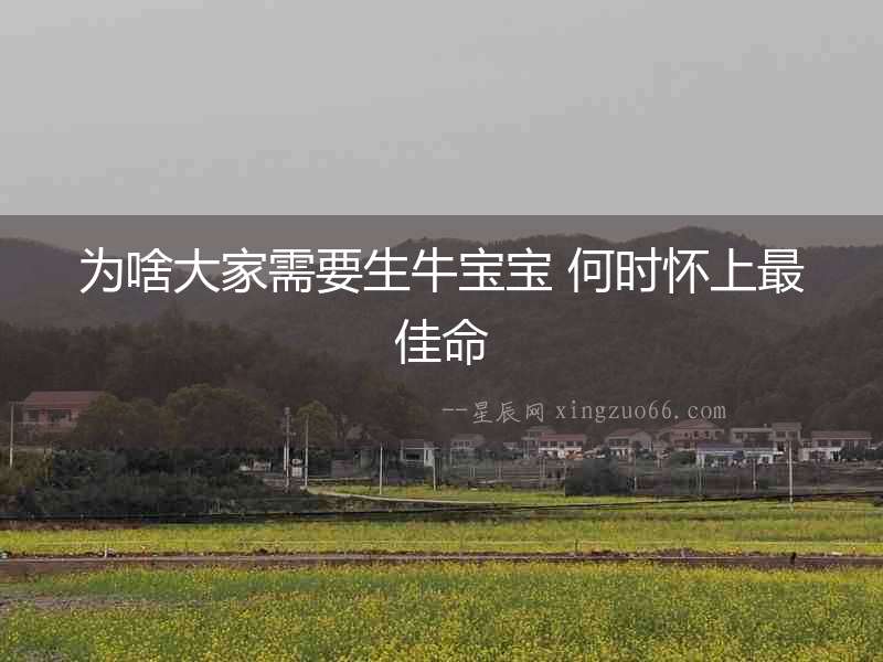 為啥大家需要生牛寶寶 何時懷上最佳命
