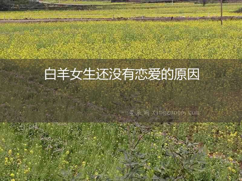 白羊女生還沒有戀愛的原因