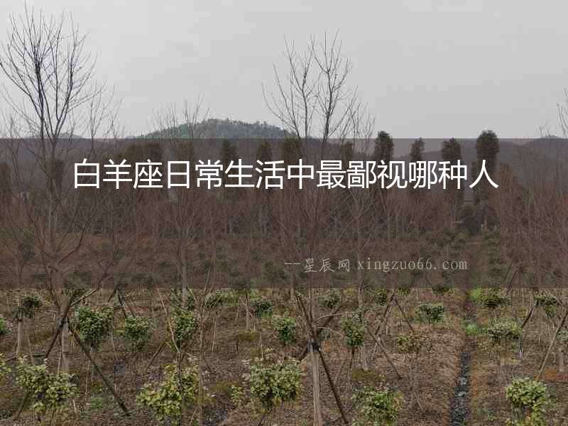 白羊座日常生活中最鄙視哪種人