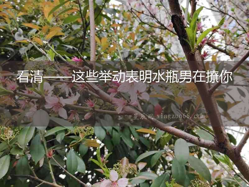 看清——這些舉動表明水瓶男在撩你