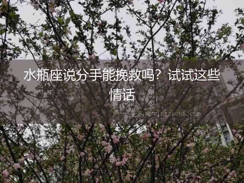 水瓶座說分手能挽救嗎？試試這些情話
