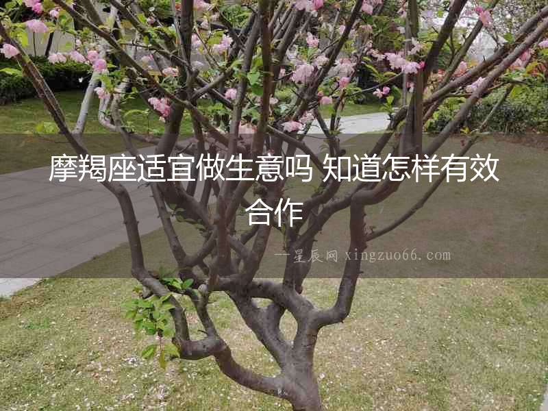 摩羯座適宜做生意嗎 知道怎樣有效合作