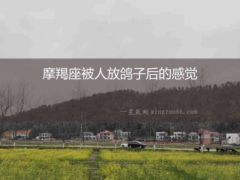 摩羯座被人放鴿子后的感覺