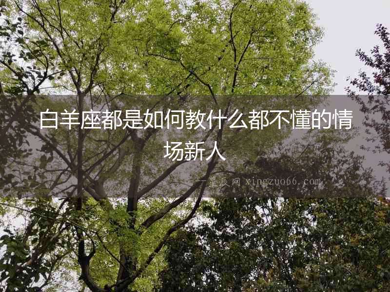 白羊座都是如何教什么都不懂的情場新人