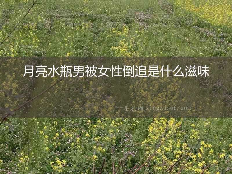 月亮水瓶男被女性倒追是什么滋味