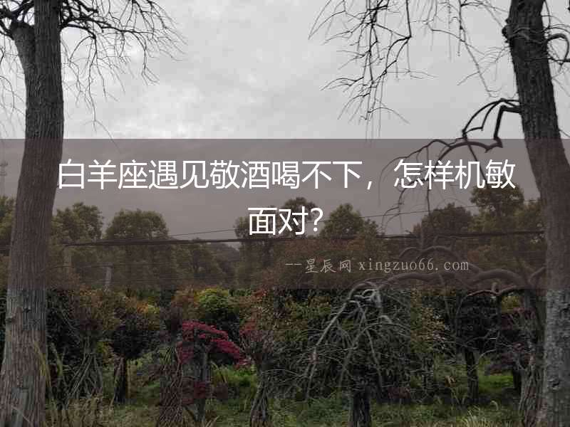 白羊座遇見敬酒喝不下，怎樣機敏面對？