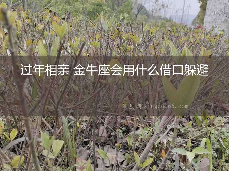 過年相親 金牛座會用什么借口躲避