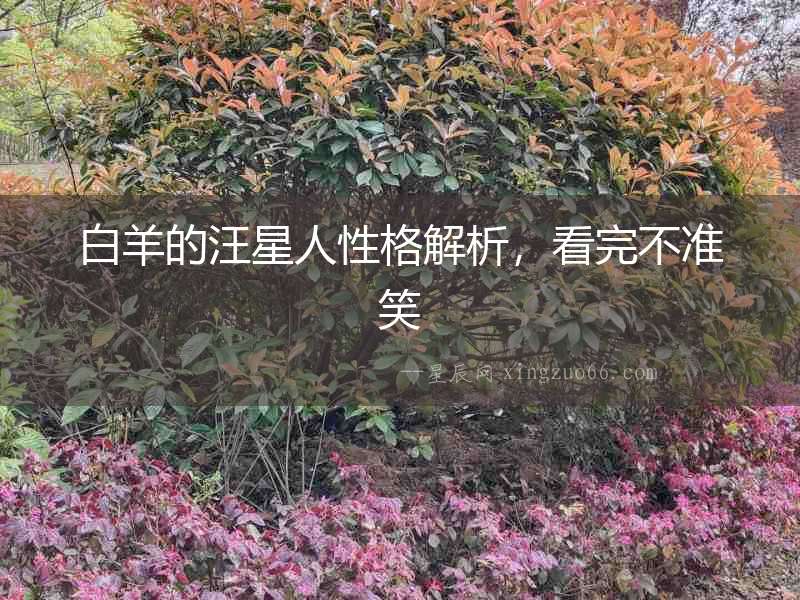 白羊的汪星人性格解析，看完不準笑