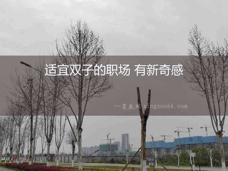 適宜雙子的職場 有新奇感