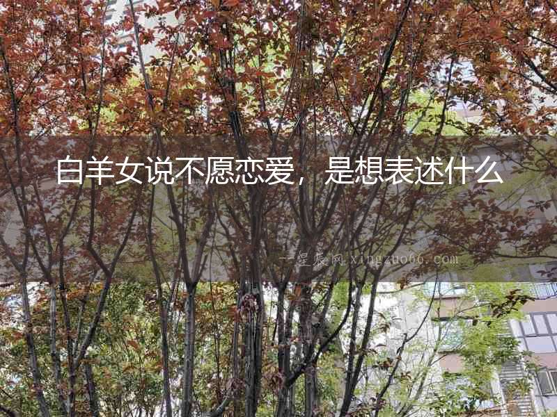 白羊女說不愿戀愛，是想表述什么