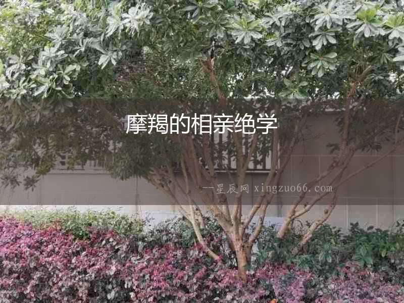 摩羯的相親絕學