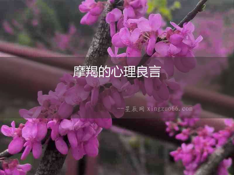 摩羯的心理良言