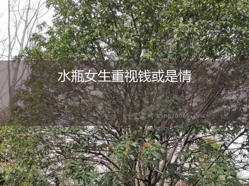 水瓶女生重視錢或是情