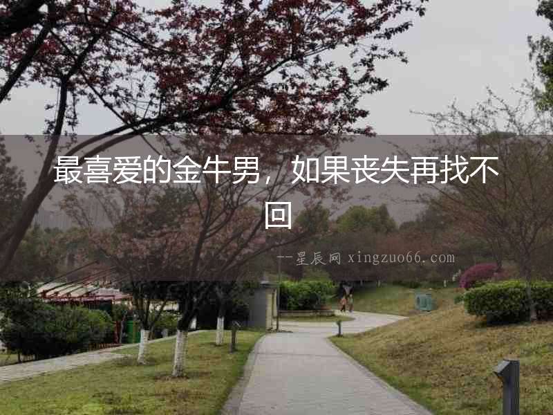最喜愛(ài)的金牛男，如果喪失再找不回