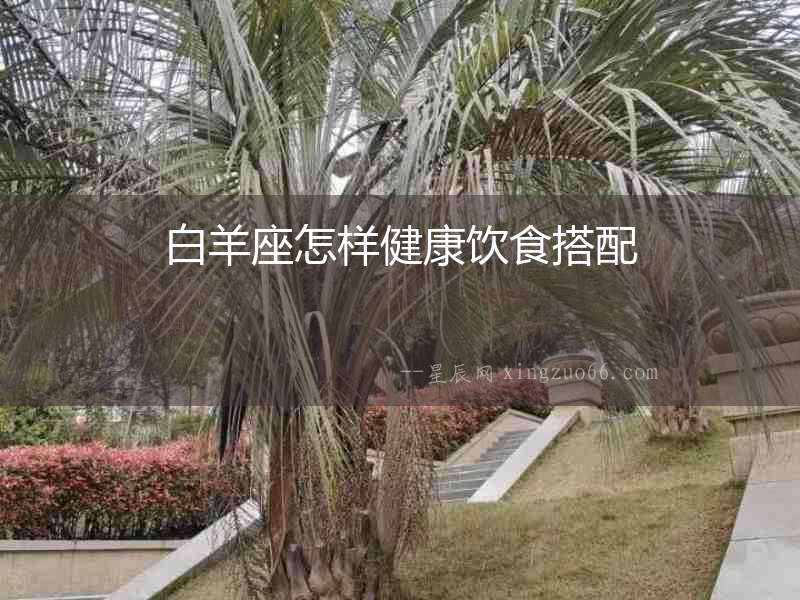 白羊座怎樣健康飲食搭配