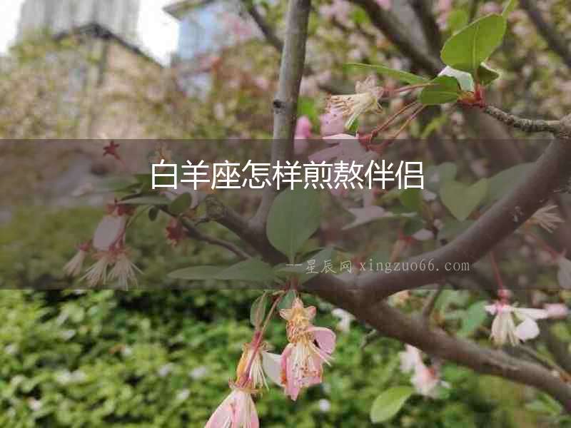 白羊座怎樣煎熬伴侶